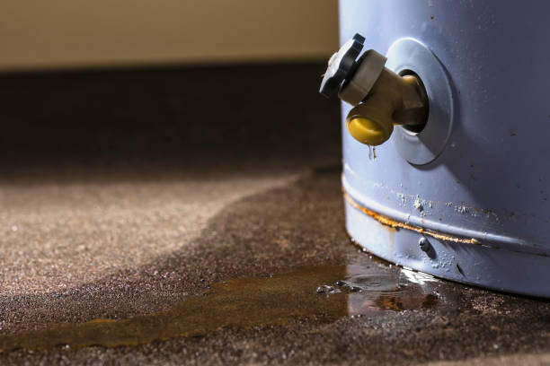 Best Water damage cleanup near me  in South Lockport, NY