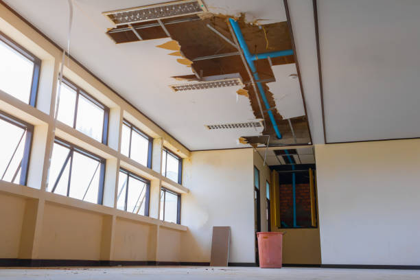 Best Water damage contractors near me  in South Lockport, NY