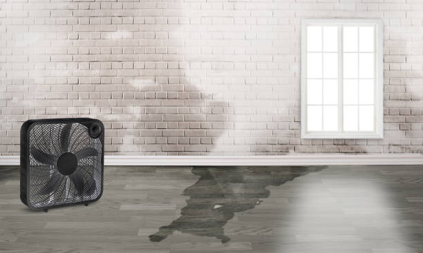 Professional Water damage restoration in South Lockport, NY