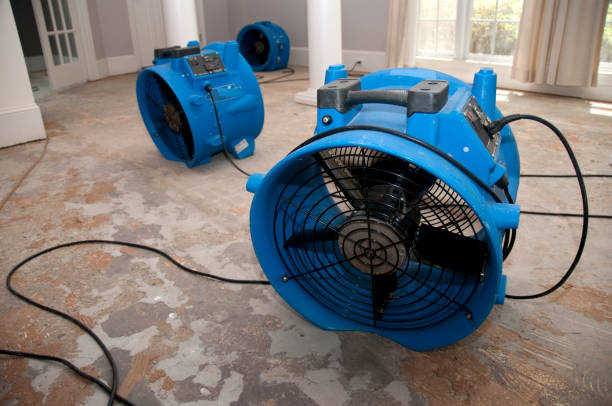 Best Local water damage restoration  in South Lockport, NY