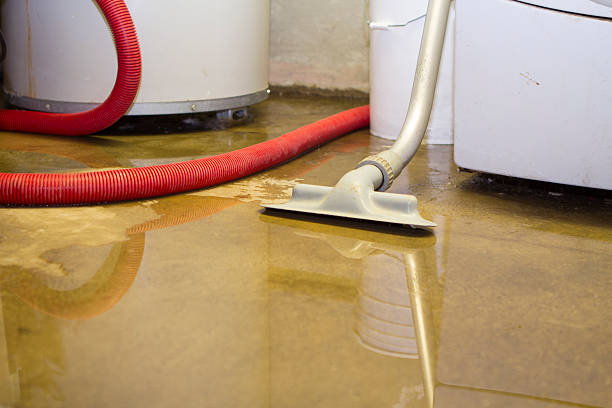 Best 24-hour water damage restoration  in South Lockport, NY