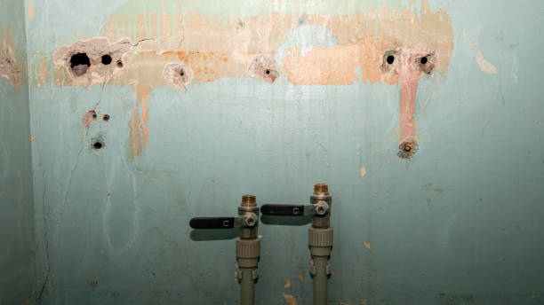 Best Sewage cleanup and water damage restoration  in South Lockport, NY