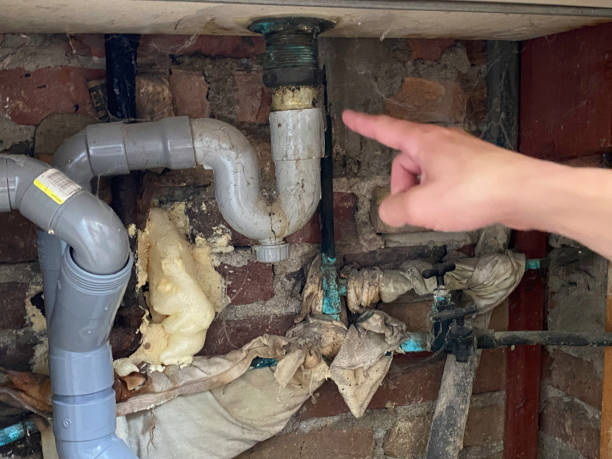 Best Flood restoration services  in South Lockport, NY