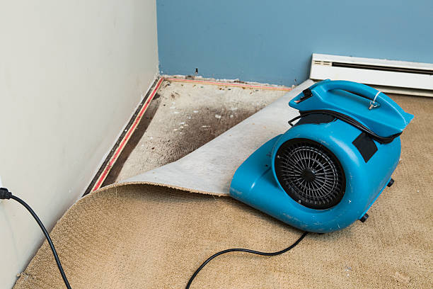 Best Water damage restoration cost  in South Lockport, NY